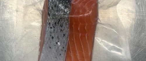 Salmon Portion Box (x10)