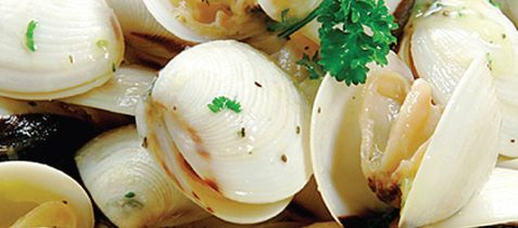 Baby Clams in Shell