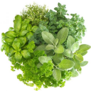 Fresh Herbs now available!