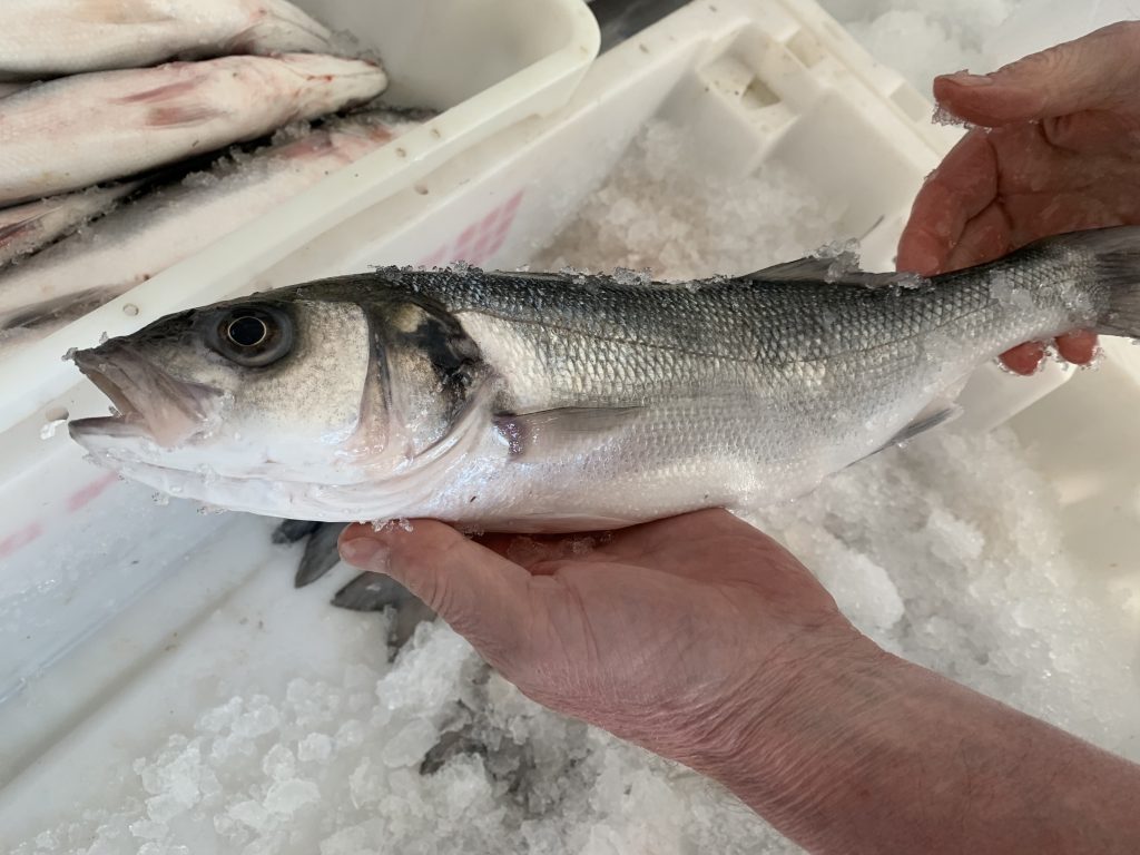 Cornish Wild Sea Bass GCH Fishmongers Bedford