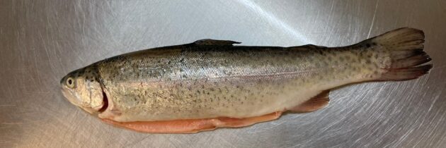 Whole Rainbow Trout 350-450g