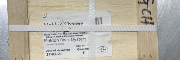 Maldon Oysters x 25