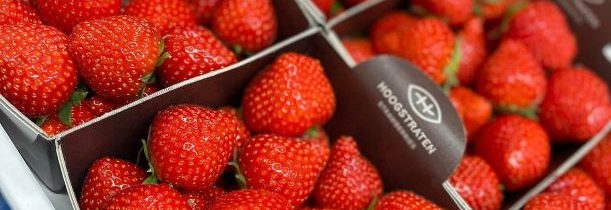English Strawberries