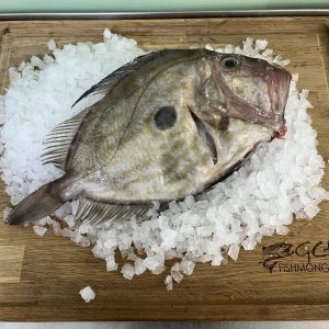 Cornish John Dory 600-800g