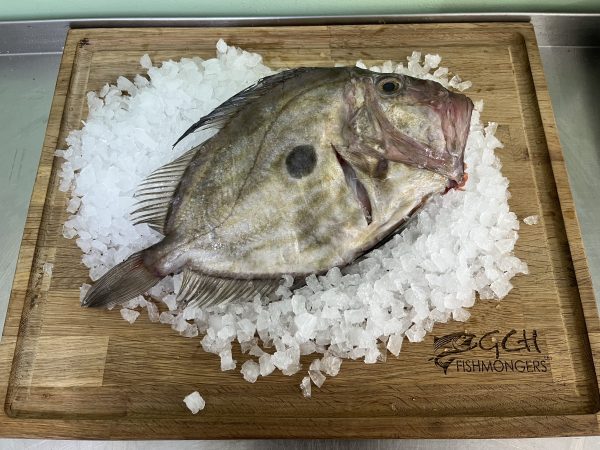 Cornish John Dory 600-800g