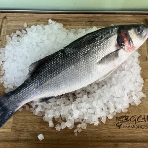 Wild Sea Bass 900-1.2KG