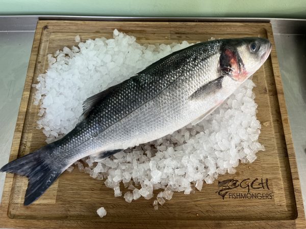 Wild Sea Bass 900-1.2KG
