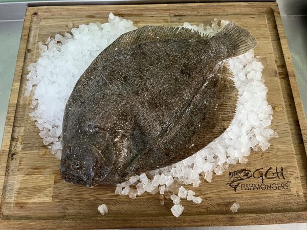 Cornish Brill 700-900g