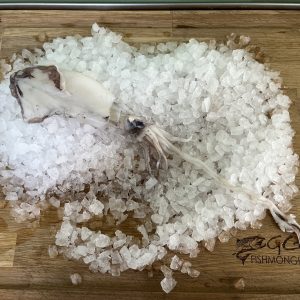 Small Cornish Squid 500g