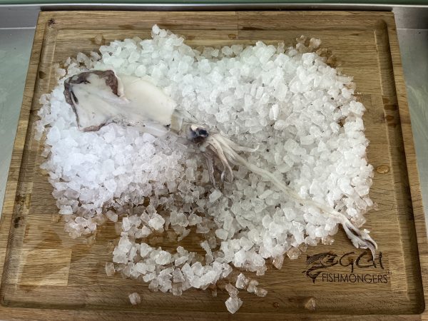 Small Cornish Squid 500g